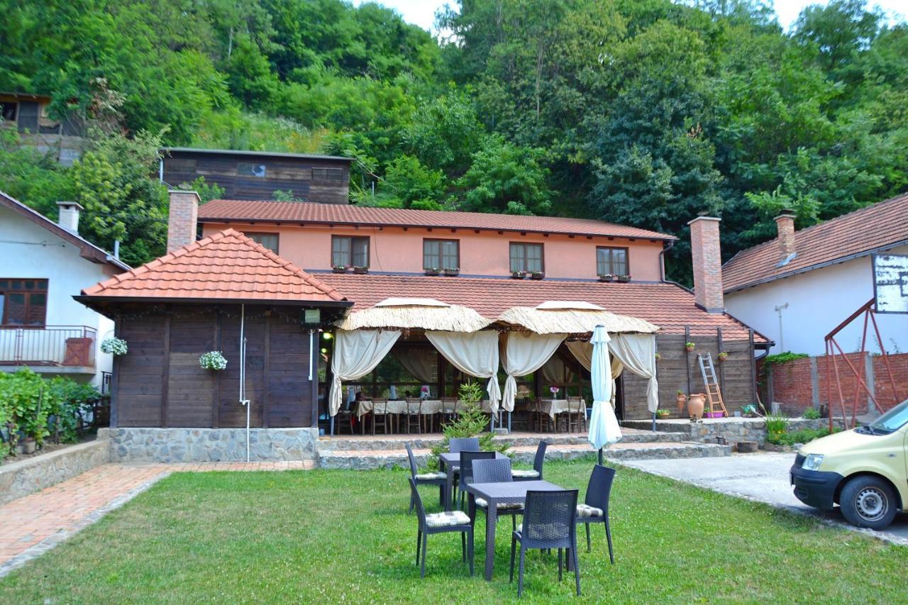 Podrum Miljevic Novi Novi Ledinci エクステリア 写真