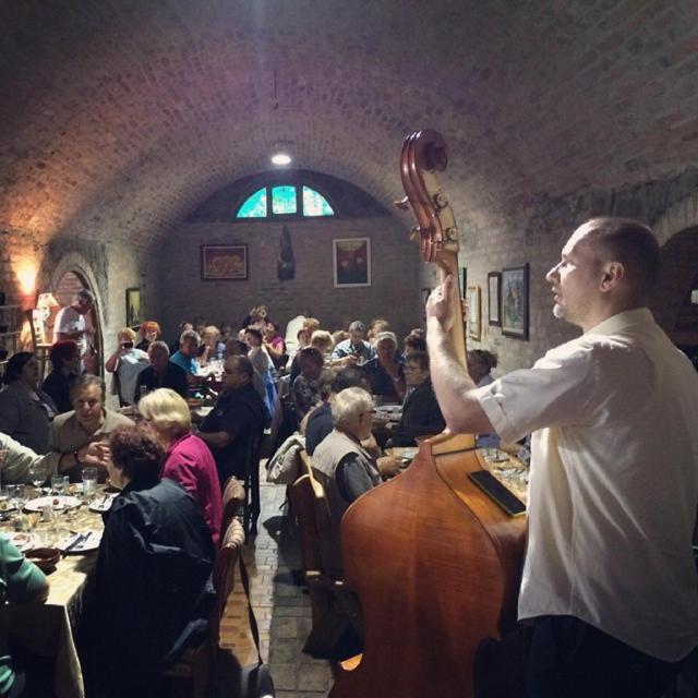 Podrum Miljevic Novi Novi Ledinci エクステリア 写真